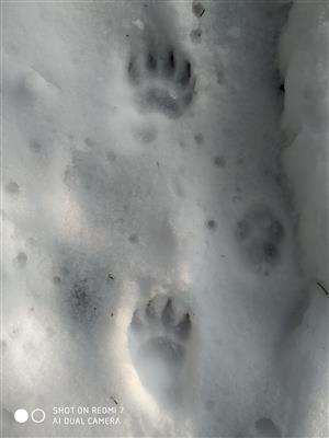 20210325_164657.png