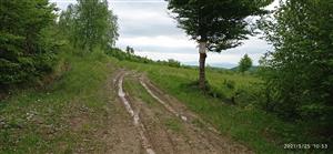 Pohľad na vstup na lokalitu č. 5
