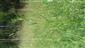 20210714_093029.png