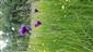 20210614_091903.png