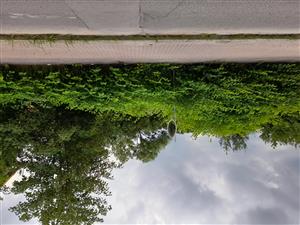 20220620_164639.jpg