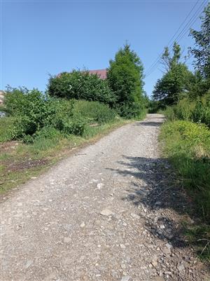 20220630_091836.png