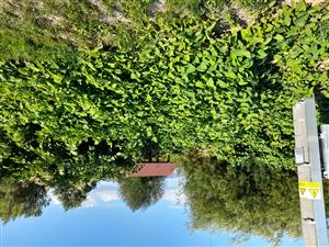 20220809_174344.jpg