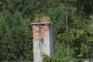 staré hniezdo bocianov bielych foto j.hoľma