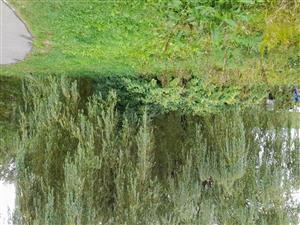 20220904_153335.jpg