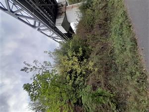 20220913_171422.jpg
