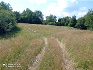Pohľad na lokalitu.
