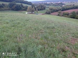 Pohľad na lokalitu.