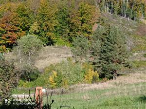 Pohľad na lokalitu.