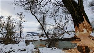 Radomka