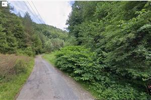Valaska_bela_Fallopia_z_google