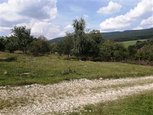 23082023_Ladice_Spiranthes_spiralis2
