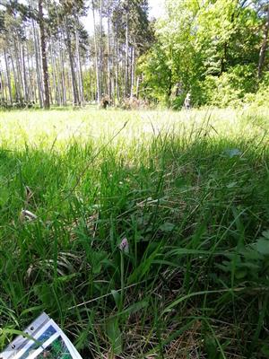 Bojnice_bazantnica3_30_04_2024