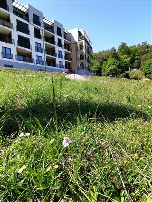 Bojnice_pod_Vendelinom_30_04_2024