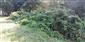 2024-09-04 - LOsada