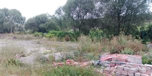 2024-08-20 - LSliace-Dielno