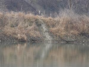 chodník