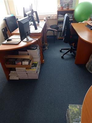 Straka čiernozobá (obyčajná)