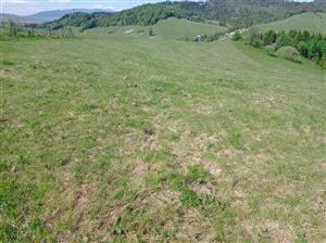 Nížinné a podhorské kosné lúky(+ 1)