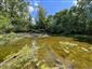 SKUEV0085_IL_RhodAmar_03